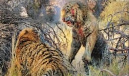 王庄爆料二虎是谁啊最新消息,二虎最新动向揭秘，热点事件追踪