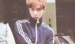 张艺兴朱丹最新爆料,揭秘娱乐圈幕后真相