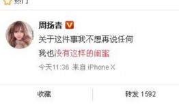 郑燕姿最新爆料新闻,揭秘她不为人知的幕后故事