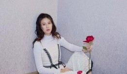 赵昭仪最新爆料消息,揭开娱乐圈背后惊人真相